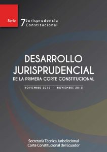 Desarrollo Jurisprudencial_Page_001